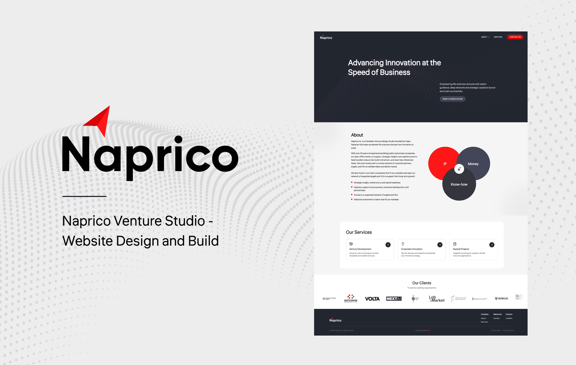 Naprico Venture Studio Website