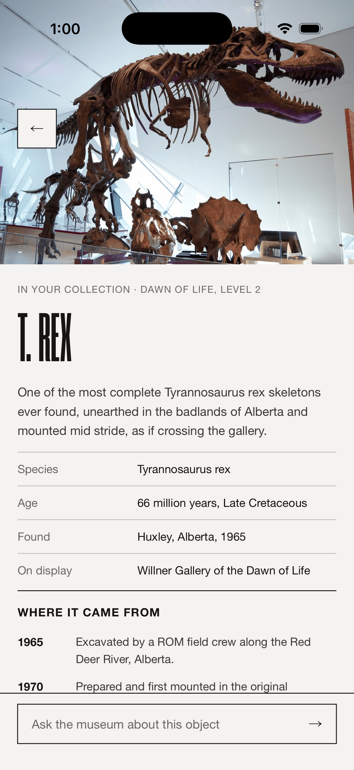 The T. rex object page: full-bleed photo, metadata rows for species, age, and find site, and a provenance timeline